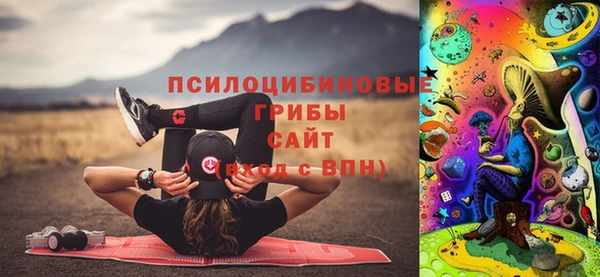 гидра Горнозаводск