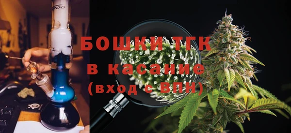 ECSTASY Вяземский