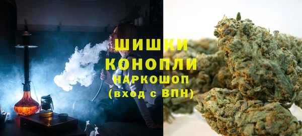 гидра Горнозаводск