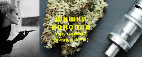 гидра Горнозаводск