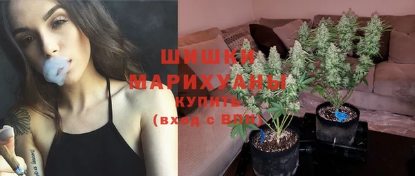 гидра Горнозаводск