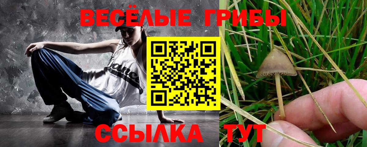 Псилоцибиновые грибы Cubensis  Наро-Фоминск 